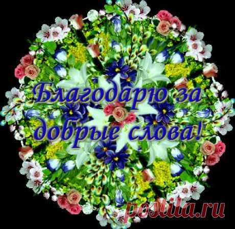 &quot;Спасибки&quot; и &quot;благодарики&quot; от geniavegas