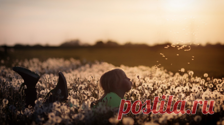 Все сбудется! 20 советов про мечты и цели У каждого из нас есть своя уникальная, как отпечаток пальца, мечта. Быть может и не одна. Мы представляем себе жизнь, которой могли бы жить. Видим себя тем, кем хотим стать, и там, где хотим быть. Пусть все сбудется. Вот несколько советов из книг МИФа, которые, как мы надеемся, добавят вам уверенности в себе и помогут осуществить задуманное —