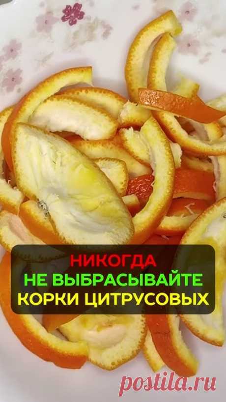Не спешите выбрасывать корки цитрусовых! Эти простые отходы могут принести огромную пользу вашему огороду. Многие дачники даже не подозревают, что с их помощ...