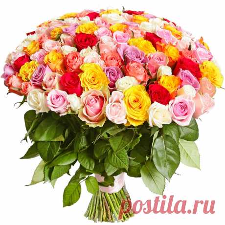 Как продлить жизнь букету цветов — Делимся советами