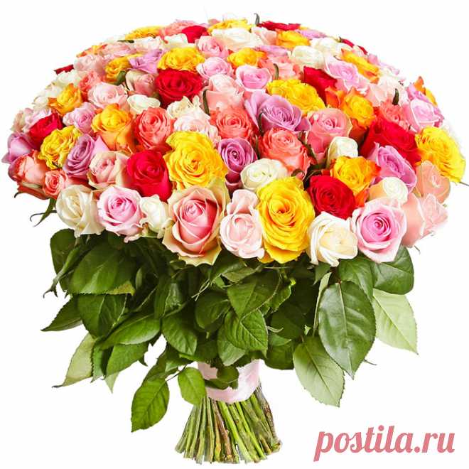 Как продлить жизнь букету цветов — Делимся советами