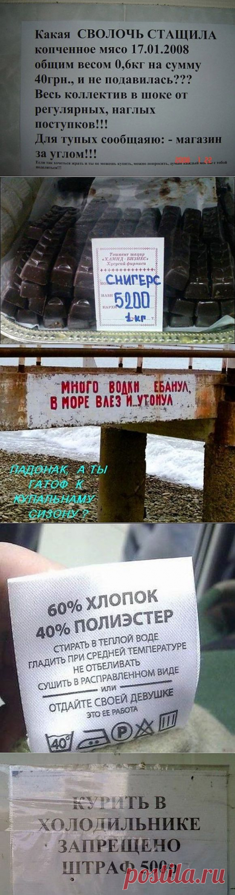 Прикольные картинки с надписями — jancel.ru