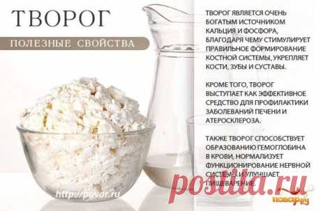 Творог полезные свойства