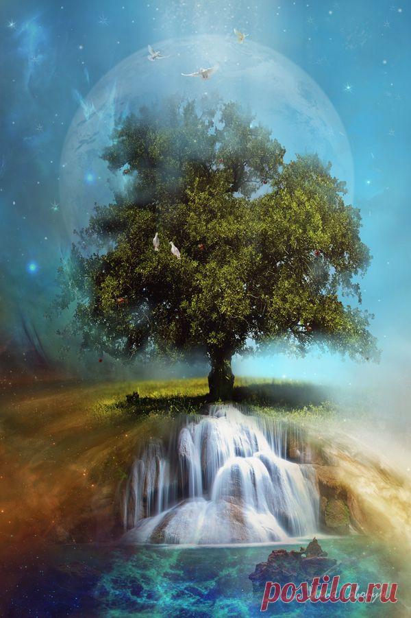 Творческая галерея Илия Говорун