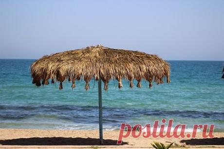 Туристка из Польши пожаловалась на засилье россиян на курортах Египта. Жительница Польши Эмилия побывала на популярном курорте Египта и пожаловалась на «засилье» российских туристов и ориентированный на них сервис. Девушка написала, что «русское влияние» в Шарм-эш-Шейхе была заметно уже в аэропорту. По ее словам, в зале прилета в основном слышалась русская речь.