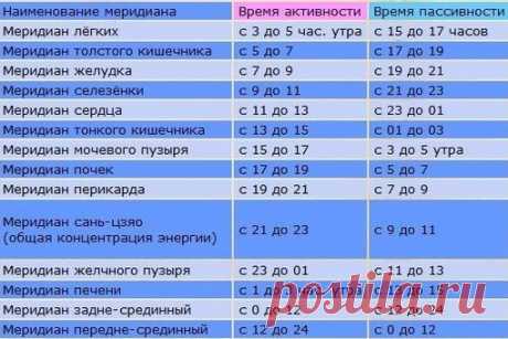 Распорядок дня организма: активность органов по часам
