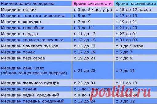 Распорядок дня организма: активность органов по часам