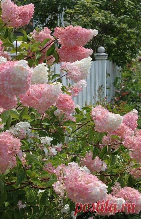 весеннее настроение