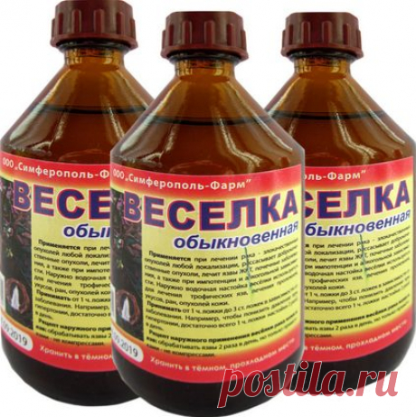 Настойка гриба веселка: как приготовить, лечебные свойства, применение