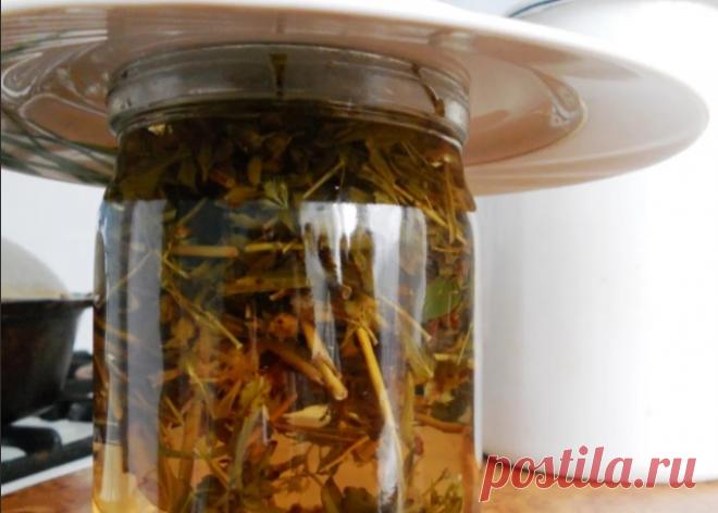 ЗАВАРИВАЮ ЭТИ ТРАВКИ И ПЬЮ ОТВАР ПЕРЕД ЕДОЙ… УРОВЕНЬ САХАРА В КРОВИ СНИЖАЕТСЯ! — Journal women❜s