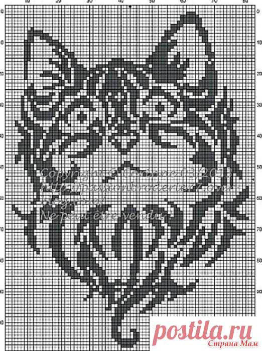 13362479_83106.jpg (522×700)