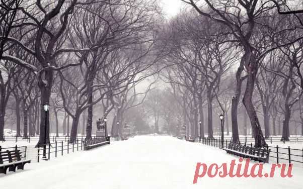 Фото Зимний парк на аву