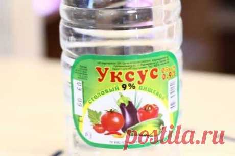 Обработка капусты от вредителей уксусом: как бороться с гусеницами, слизнями и тлей