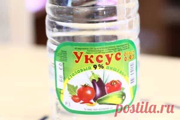 Обработка капусты от вредителей уксусом: как бороться с гусеницами, слизнями и тлей