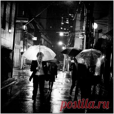 Красивые фотографии дождя (35 фото)