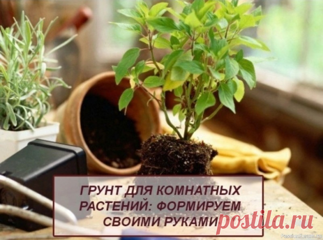 Грунт для комнатных растений: формируем своими руками Перед каждым, кто приступает к пересадке комнатных растений, прежде всего, встает вопрос: купить готовый грунт в магазине или заготовить его самостоятельно.С одной стороны, торфяной грунт кажется наиболее простым в использовании: купил, насыпал, посадил – и разбираться ни в чем не надо....