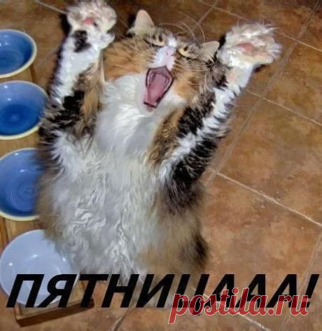 Уведомления