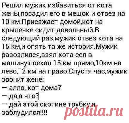 Интернет, интернет, отпусти в туалет, пол часа уже сижу, ноги крестиком держу.