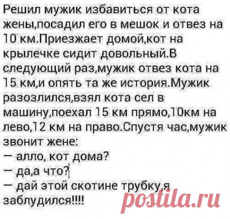 Интернет, интернет, отпусти в туалет, пол часа уже сижу, ноги крестиком держу.
