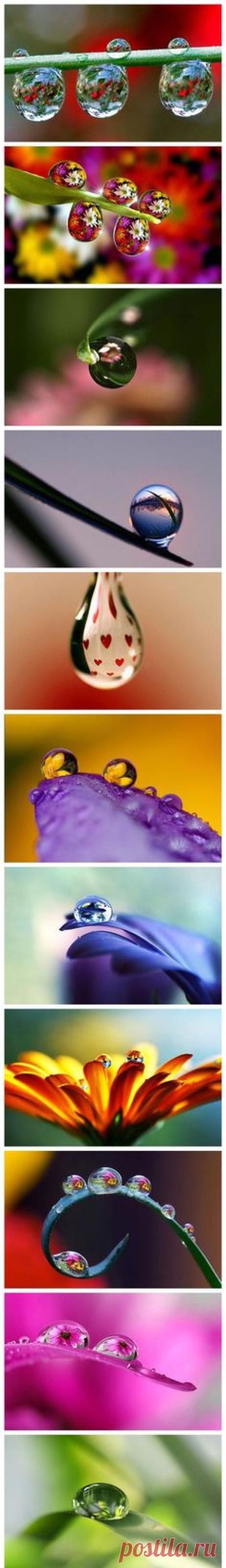 Pinterest • Всемирный каталог идей