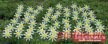 как сделать из бутылок ромашку? Мастер-класс с фото