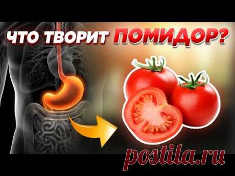 Многие едят ПОМИДОРЫ, но мало кто знает об их ДЕЙСТВИИ НА ОРГАНИЗМ. Что творит помидоры?