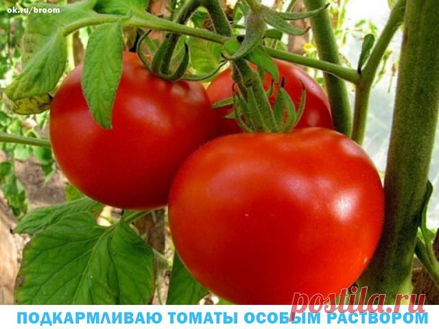 (1) Одноклассники