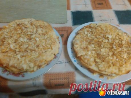 Наполеон ( по просьбам трудящихся ): : Дневники - diets.ru