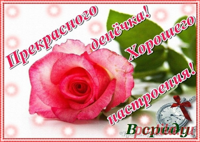 — Курсант Иванов! — Я! — Представьте следующую ситуацию: вы обороняете высоту и ваш взвод окружили сразу десять дивизий противника. Ваши действия? — Я буду надеяться. — Как надеяться? На что? — На то, что в такой давке противник просто не заметит мой взвод. - Выпуск №1175 — Вокруг смеха - анекдоты