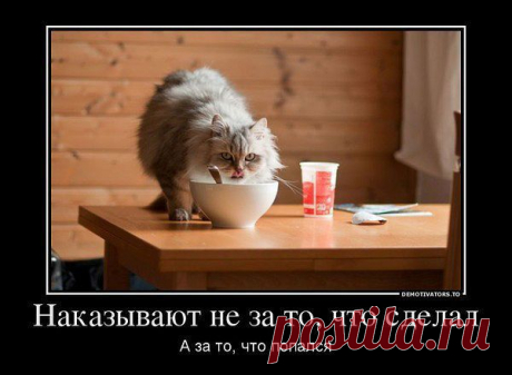 Интересные новости