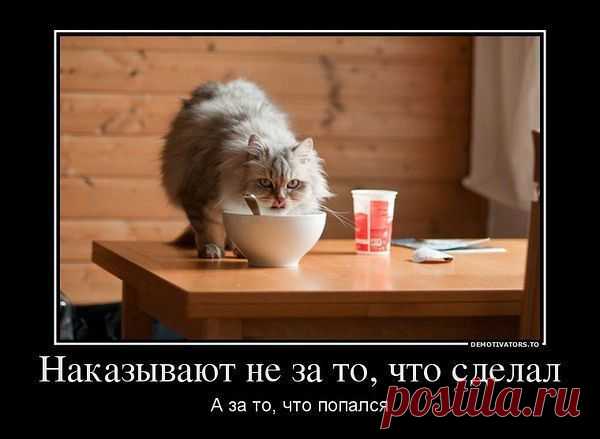 Интересные новости
