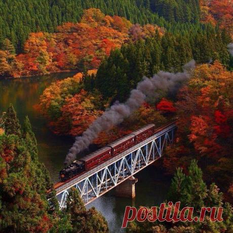 Осенние образы. https://www.111ideas.com/beautiful-nature-images/
