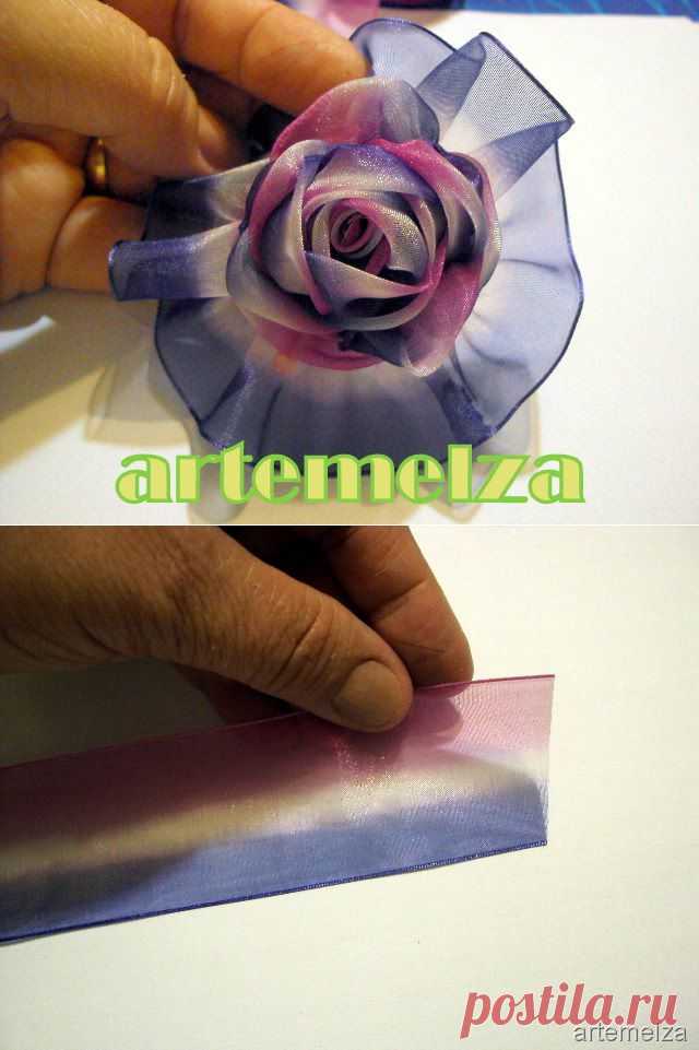 Блоги@Mail.Ru: РОЗА ИЗ ШИФОНА.