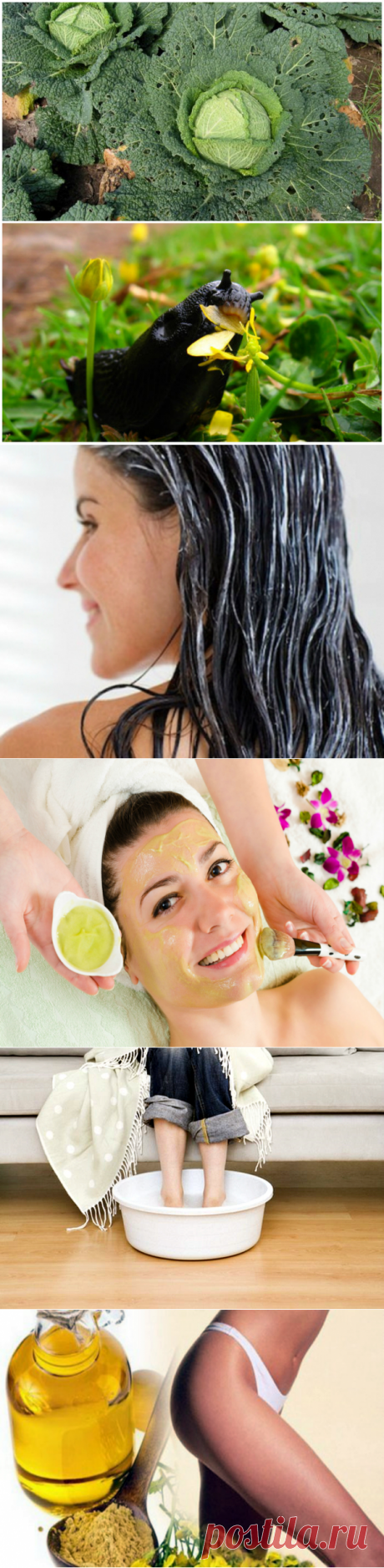 15 нестандартных способов полезного применения горчицы в доме, на даче, для здоровья и красоты