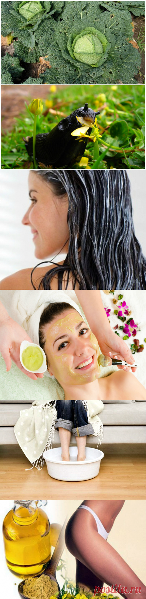 15 нестандартных способов полезного применения горчицы в доме, на даче, для здоровья и красоты