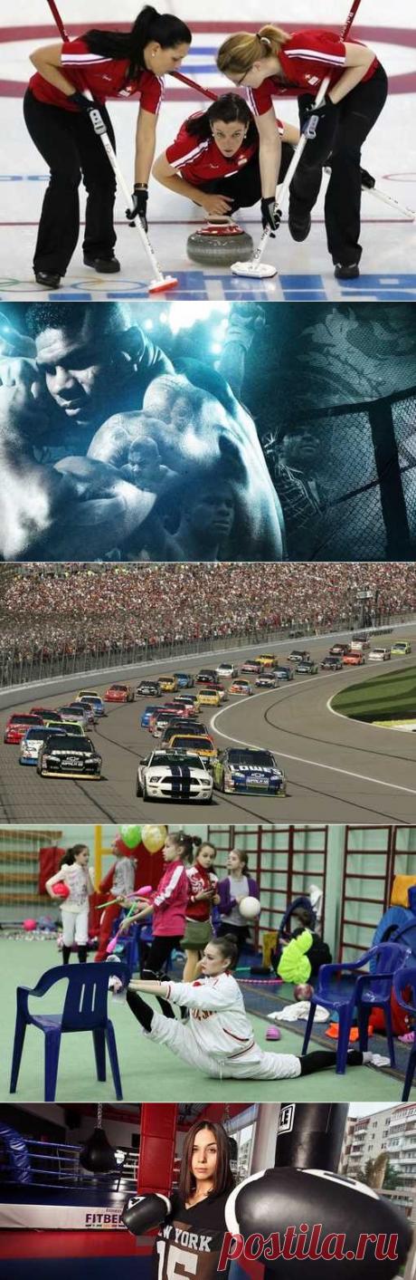 Спорт для всех, Пейнтбол, Корпоративный спорт, Рукопашный бой. (1/1) - Спортивный форум. - Спортивный сайт