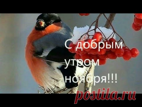 С добрым утром ноября! Музыкальная открытка