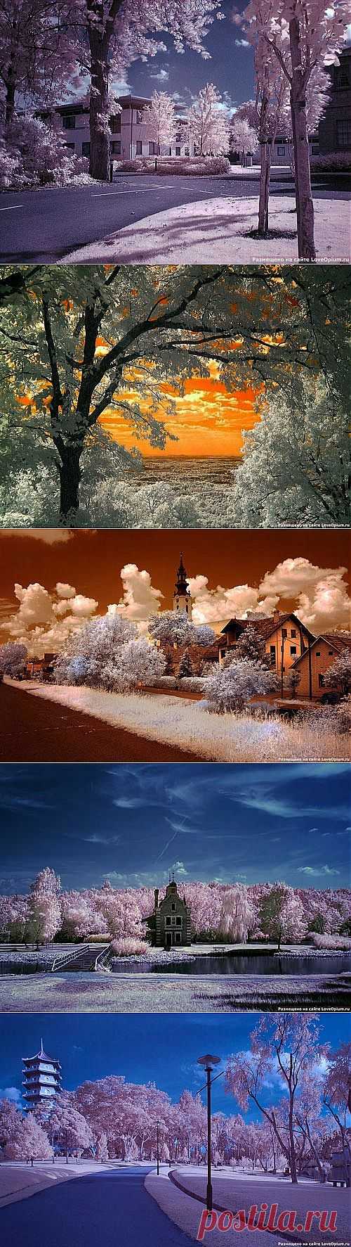 Инфракрасная фотография — это техника фотосъёмки, в которой используется специальная фотоплёнка или матрица цифрового фотоаппарата, чувствительные к инфракрасному световому излучению; используется специальный фильтр для цифрового фотоаппарата, который пропускает инфракрасный свет, но, блокирует видимую часть спектра.