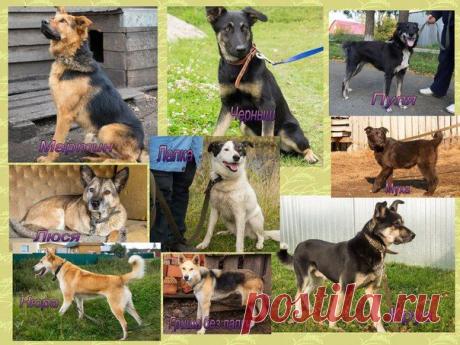 Татьяна Кузнецова