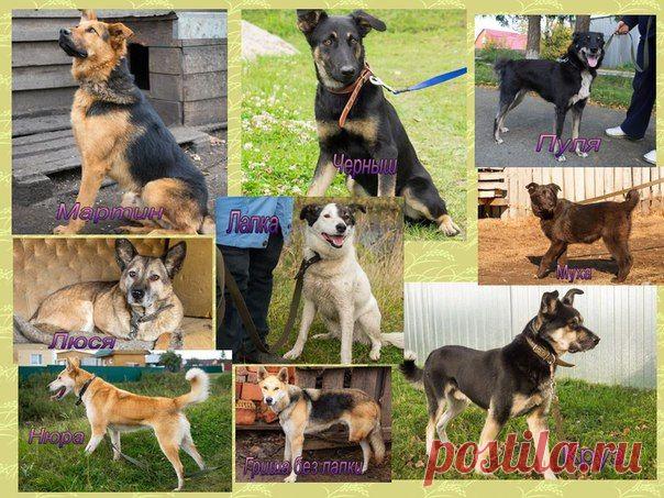 Татьяна Кузнецова