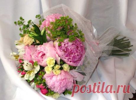 БУКЕТЫ ИЗ КОНФЕТ РЕКВИЗИТ ДЛЯ ФОТОСЕССИЙ
38 лет, Украина, Киев