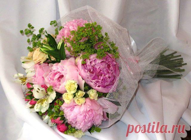 БУКЕТЫ ИЗ КОНФЕТ РЕКВИЗИТ ДЛЯ ФОТОСЕССИЙ
38 лет, Украина, Киев