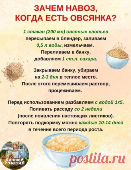 МРАКОБЕСИЕ ПОБЕЖДАЕТ?  Интернет переполнен подобными... | Интересный контент в группе Школа садоводов Андрея Туманова