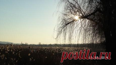 (59) Одноклассники