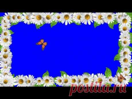 Видеофон РОМАШКОВАЯ РАМКА С БАБОЧКАМИ