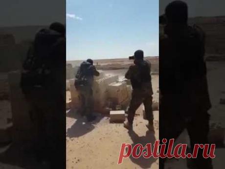 За секунды до смерти... | Выживи сам