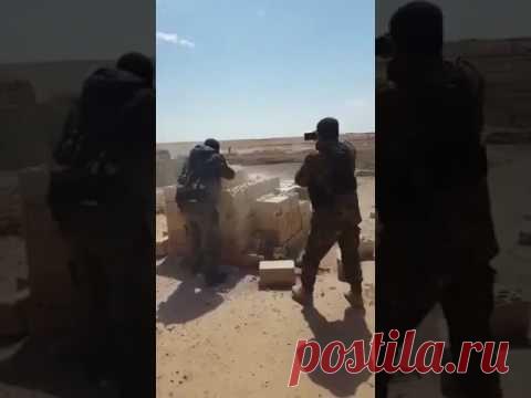 За секунды до смерти... | Выживи сам