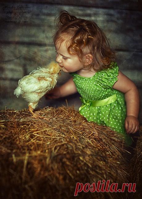 35PHOTO - Наталья Законова - Птенчики