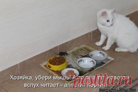 Мышь убери