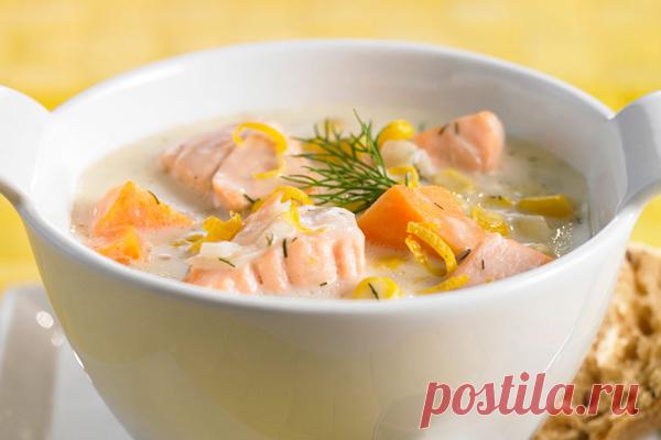 Сливочный суп с лососем и фенхелем - Пошаговый рецепт с фото своими руками Сливочный суп с лососем и фенхелем - Простой пошаговый рецепт приготовления в домашних условиях с фото. Сливочный суп с лососем и фенхелем - Состав, калорийность и ингредиенти вкусного рецепта.